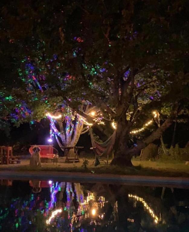 Alma Nativa Hostel ปูกอน ภายนอก รูปภาพ